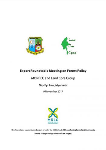Expert round table meeting on forest policy