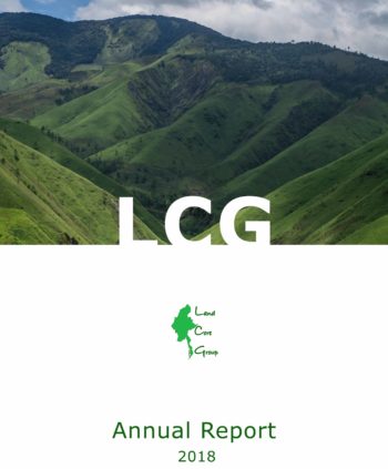 LCG Annual Report 2018